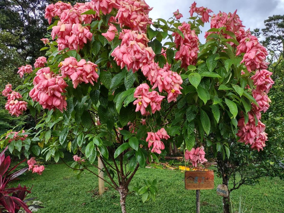 Finca Mystica Merida Exterior photo