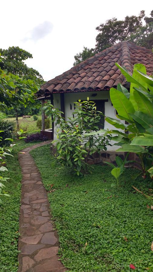 Finca Mystica Villa Merida Exterior photo