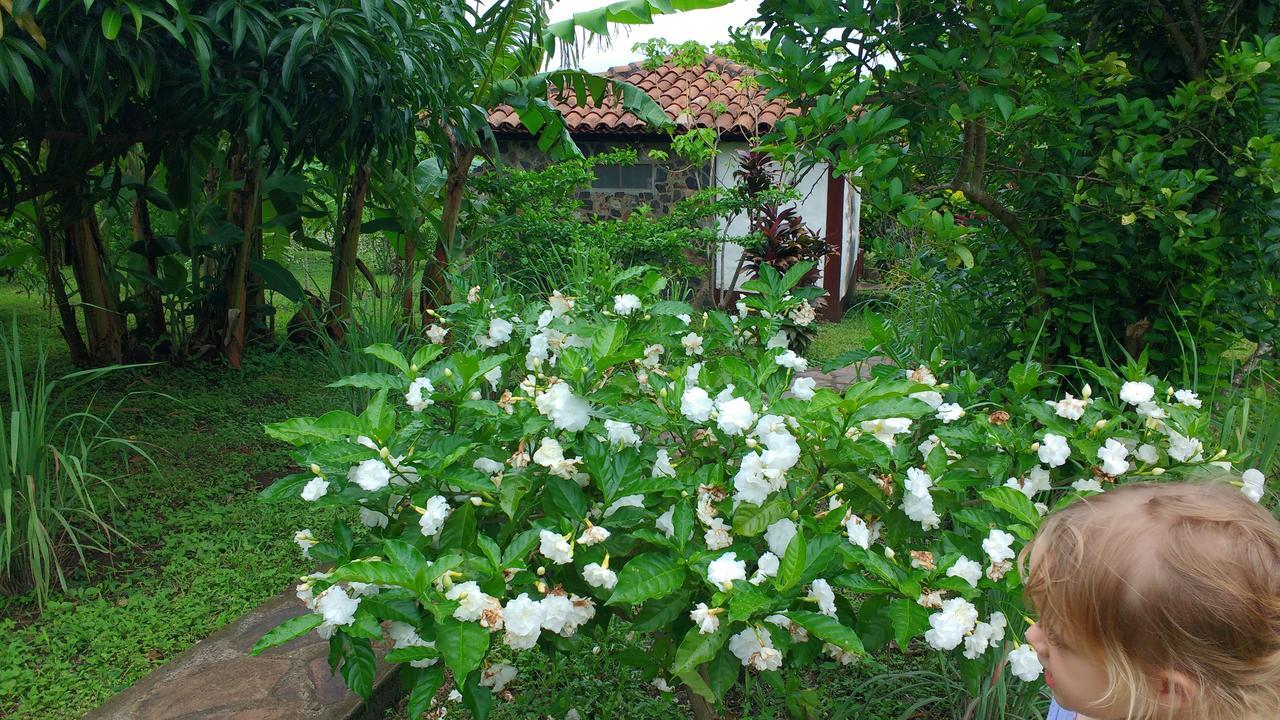 Finca Mystica Villa Merida Exterior photo