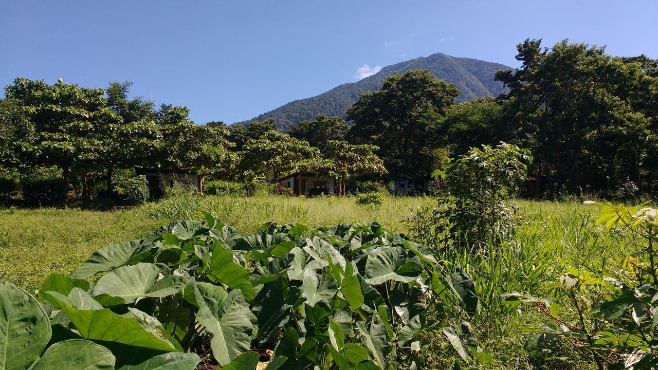 Finca Mystica Villa Merida Exterior photo